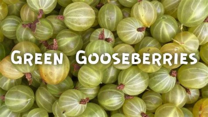 Are all gooseberries edible