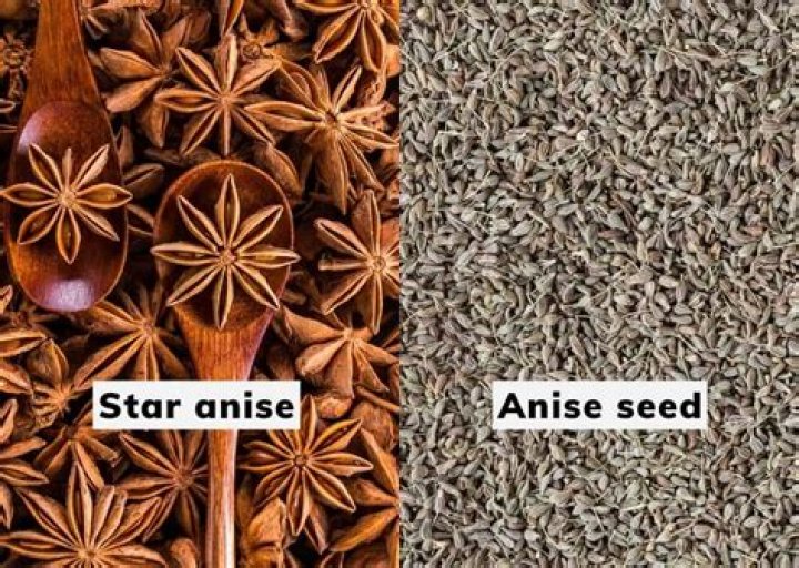 Are anise and star anise the same