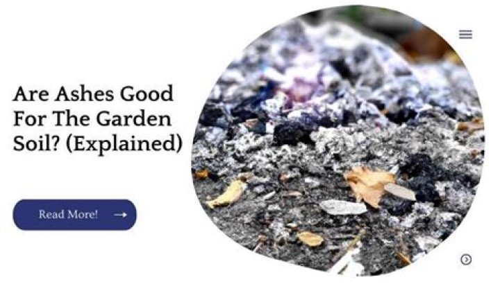 Are ashes good for the soil