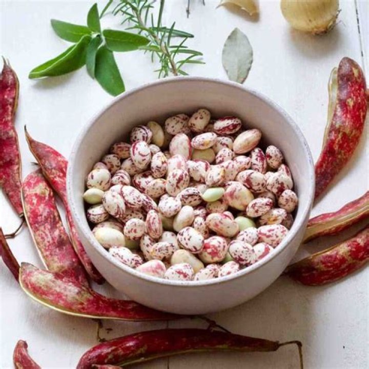 Are borlotti beans the same as cannellini beans
