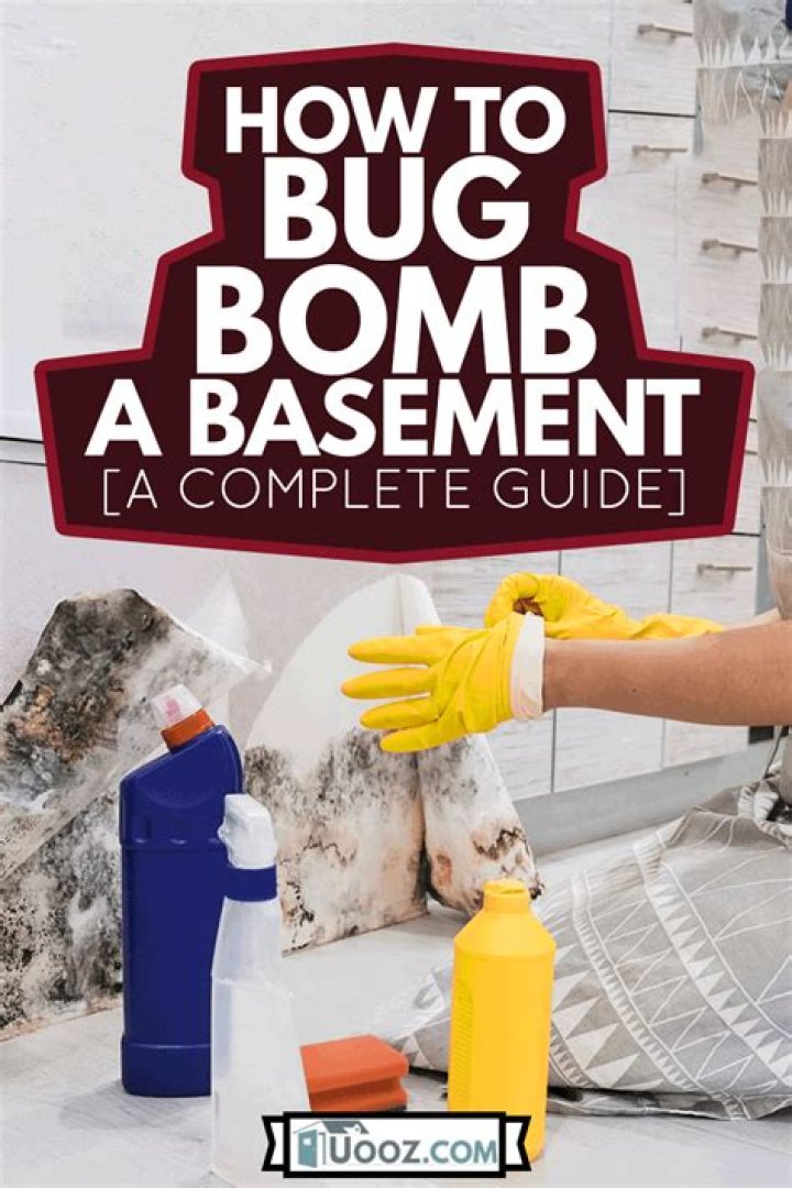 Are bug bombs safe for dogs