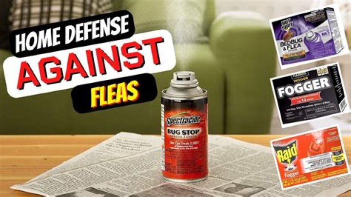 Are bug bombs safe for pets