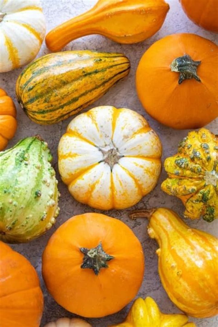 Are bumpy pumpkins edible