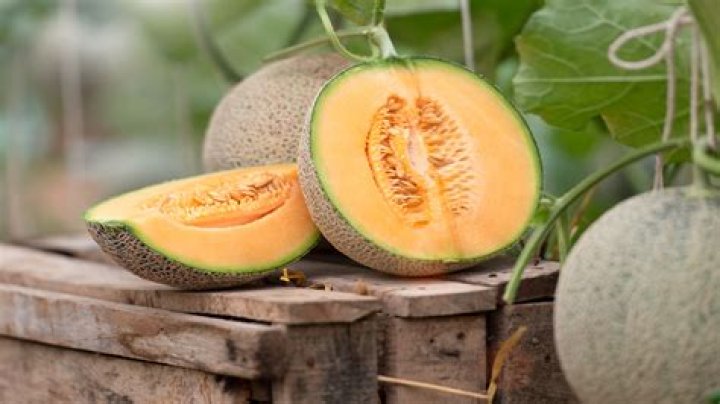 Are cantaloupe good for you