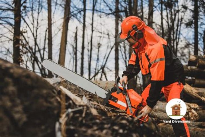 Are chainsaw chaps worth it