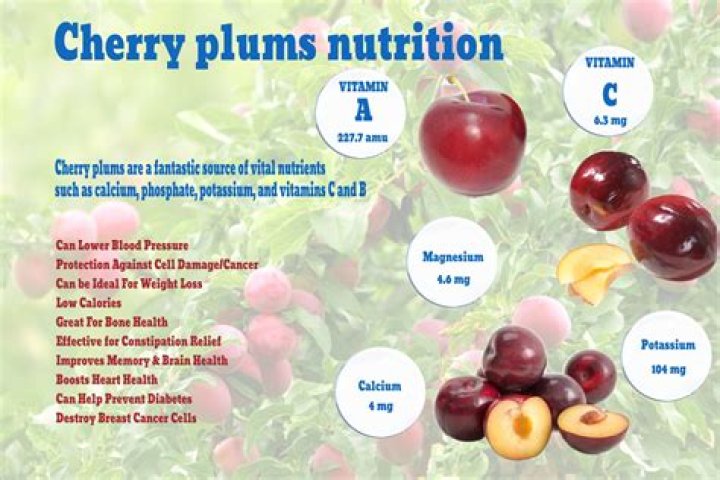 Are cherry plums poisonous