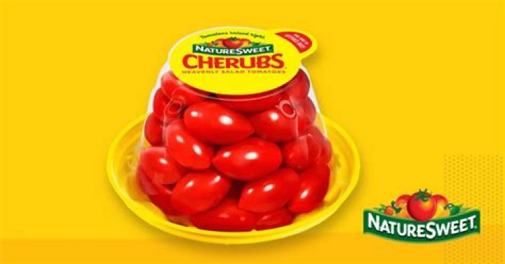 Are cherubs cherry tomatoes