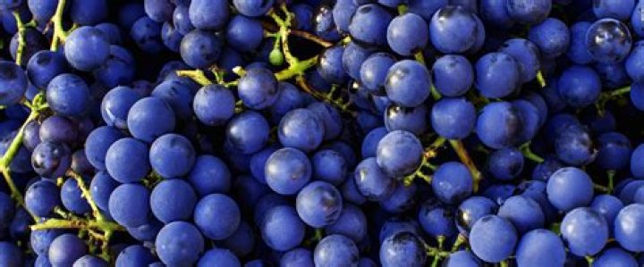 Are Coronation grapes sweet