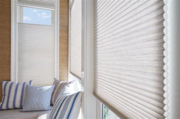 Are Duette blinds any good