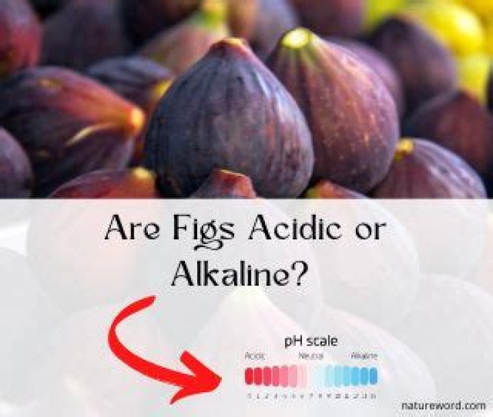 Are figs acidic or alkaline