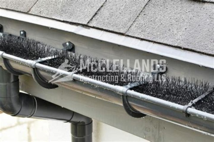 Are gutter brushes any good