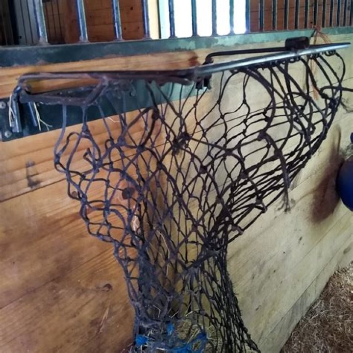 Are hay nets bad for horses