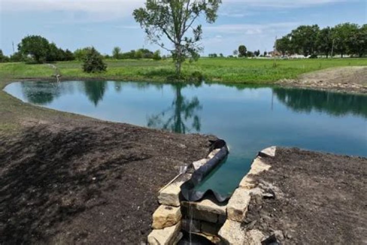 Are leaves bad for my pond