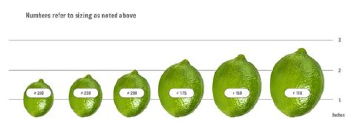Are limes native to Mexico