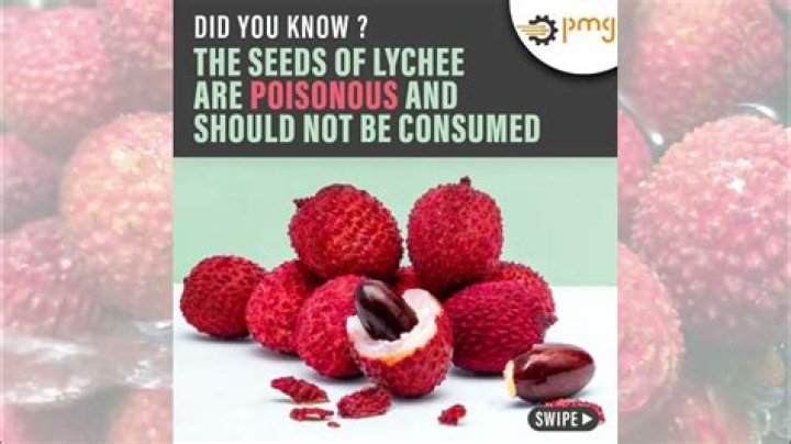 Are lychee stones poisonous