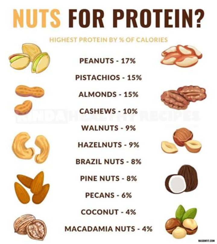 Are nuts a form of protein