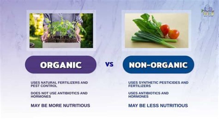 Are organic vitamins better