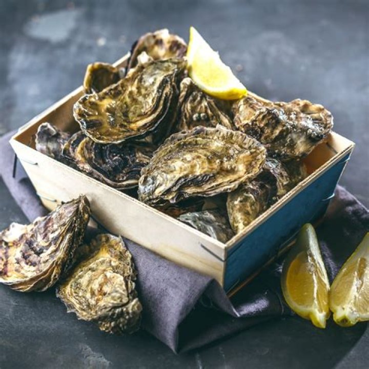 Are oysters fatty