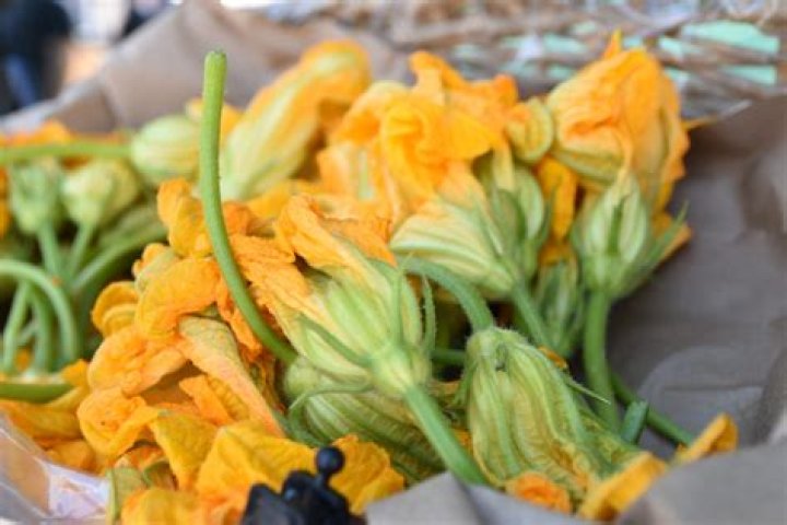 Are squash blossoms healthy