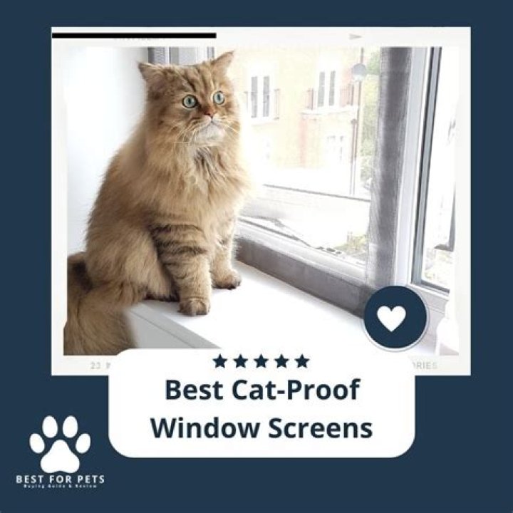 Are there cat proof screens