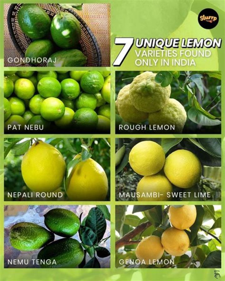 Are there lemons in India