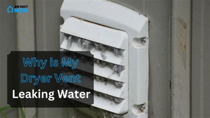 Can a dryer vent leak water