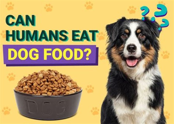 Can a human eat a dog bone