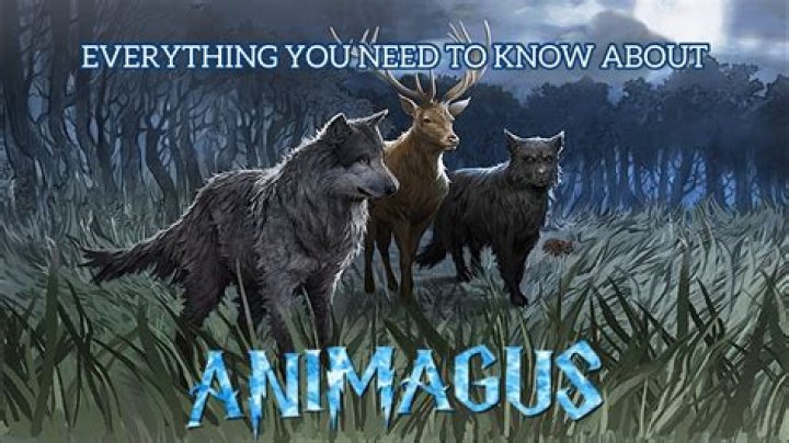 Can an Animagus be a dragon