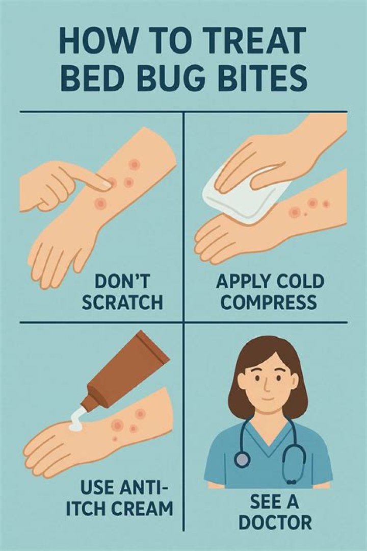 Can bed bug bites reappear