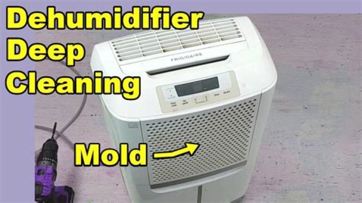 Can dehumidifiers get moldy