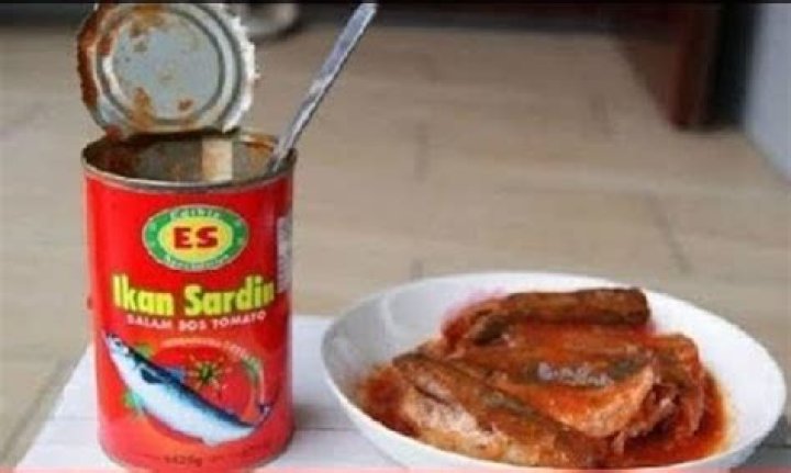 Can dogs eat pilchards in tomato sauce