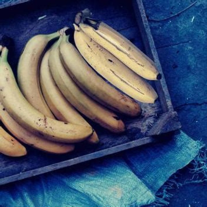 Can dogs eat rotten bananas