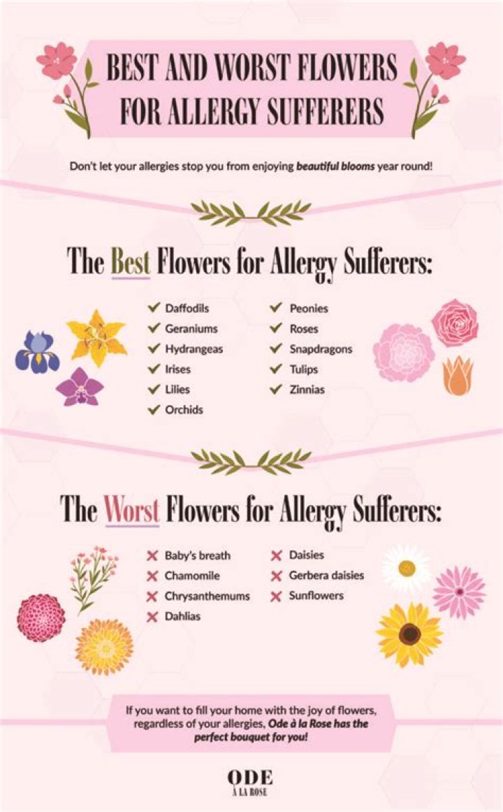 Can flowers in the house cause allergies