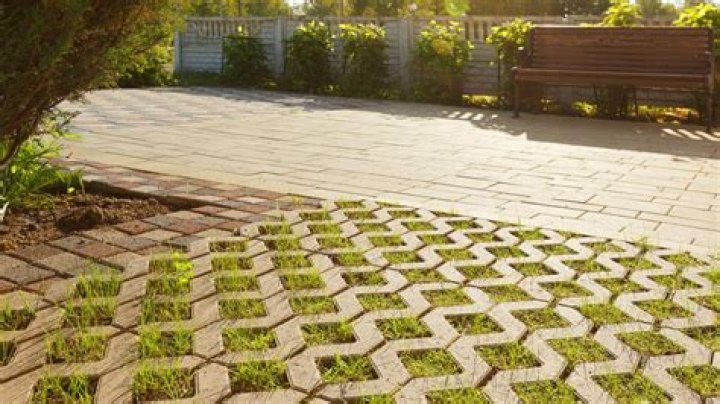 Can grass grow over pavers