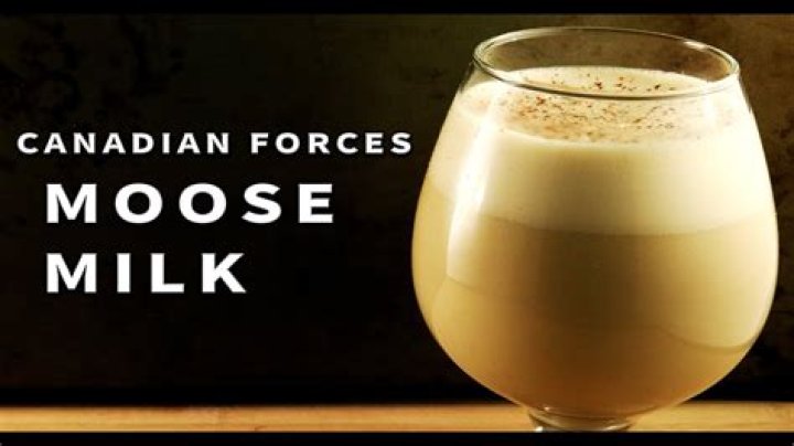 Can humans drink moose milk