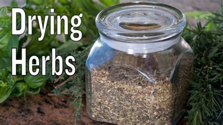 Can I rehydrate dried herbs