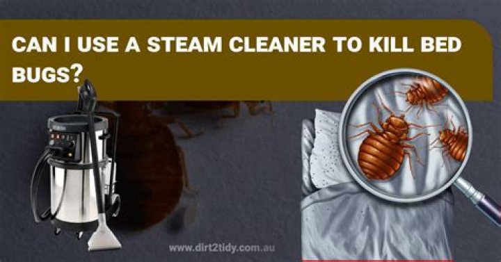 Can I use a steamer to kill bed bugs