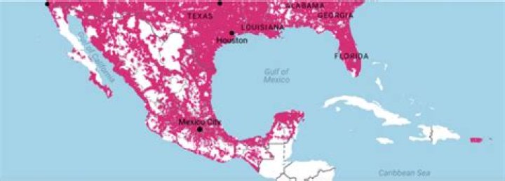 Can I use tmobile in Mexico