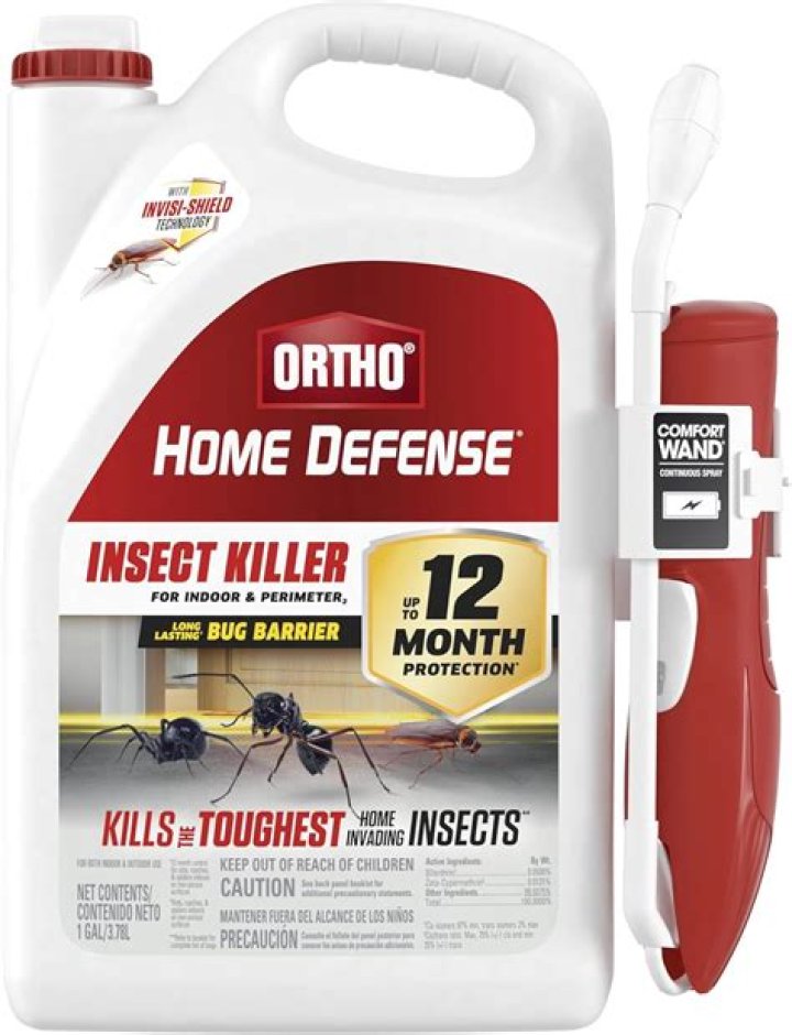 Can insect killer kill dogs