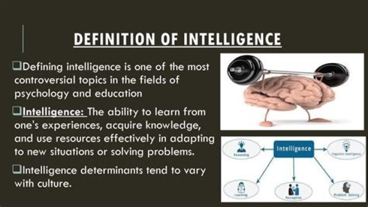 Can intelligence be defined