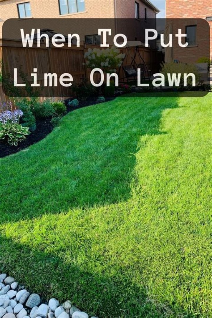 Can lime harm your lawn
