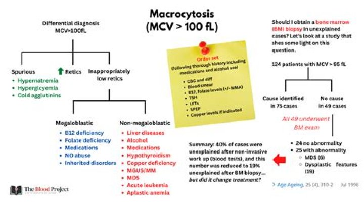 Can macrocytosis be normal