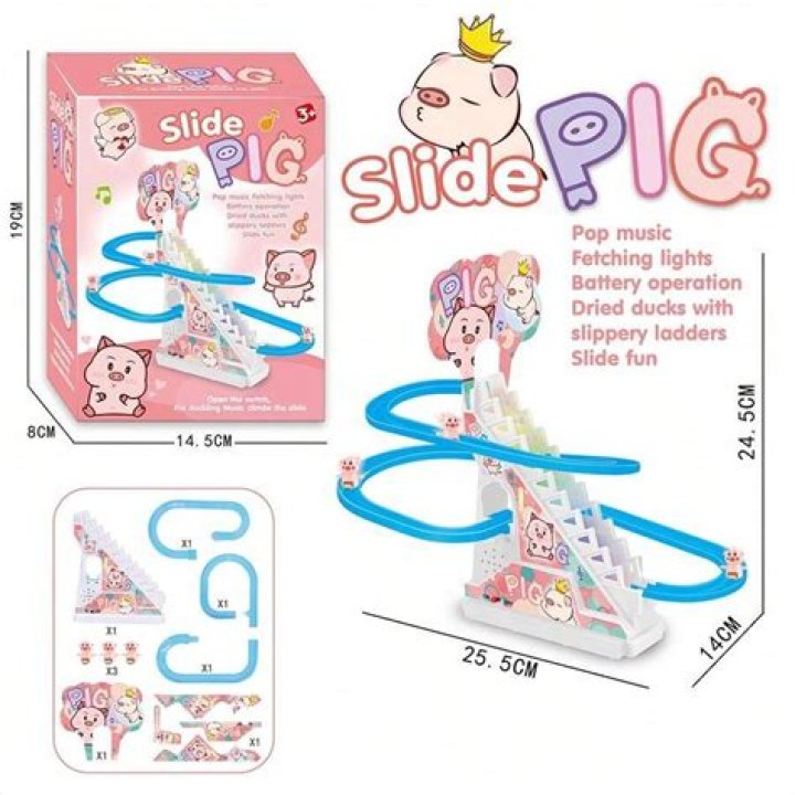 Can mini pigs go up stairs