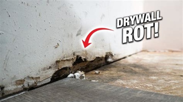 Can moldy drywall be saved