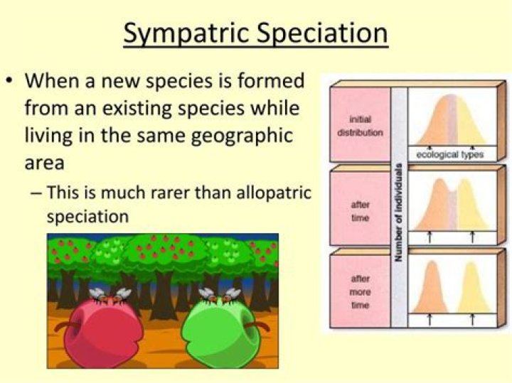 Can sympatric species mate