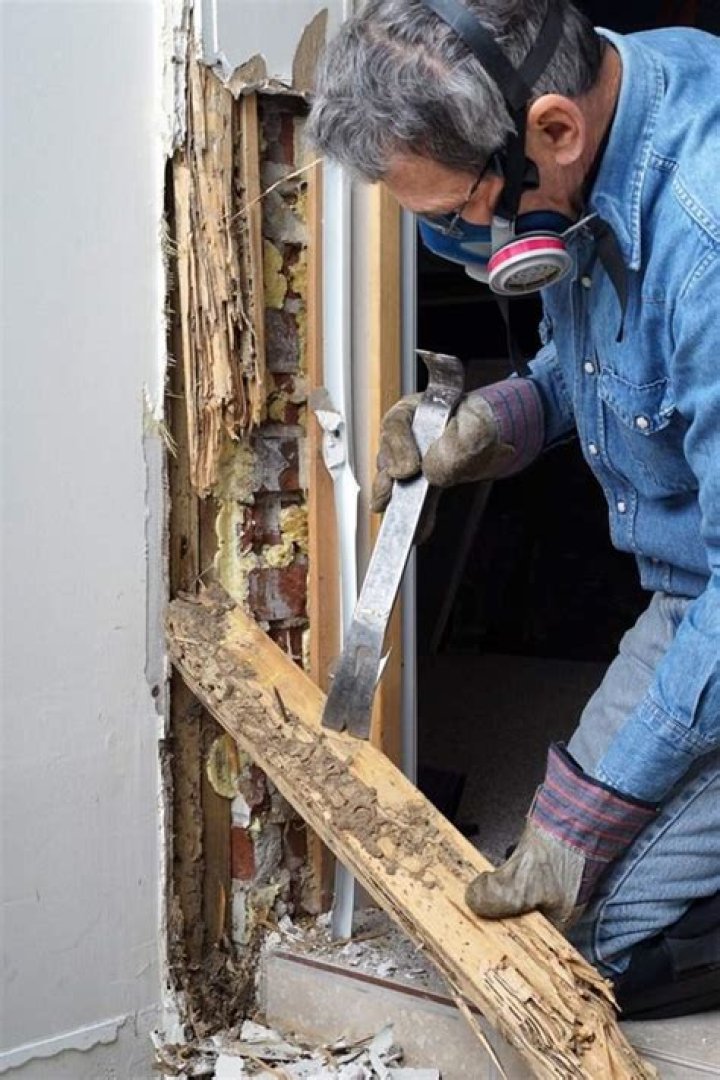 Can termite damage be fixed