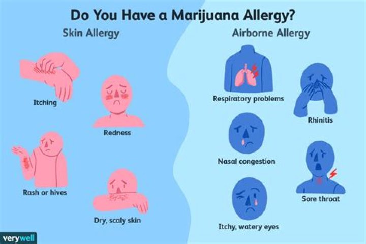 Can you be allergic to Moss