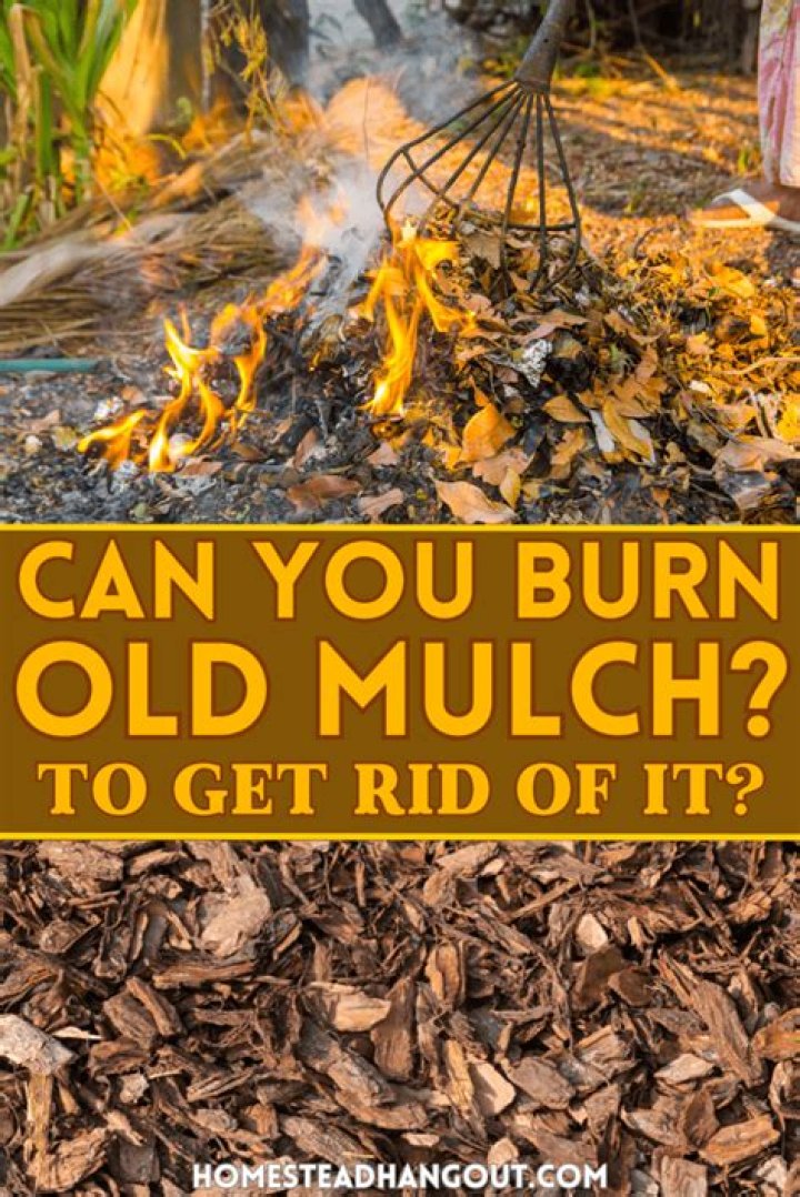 Can you burn old mulch