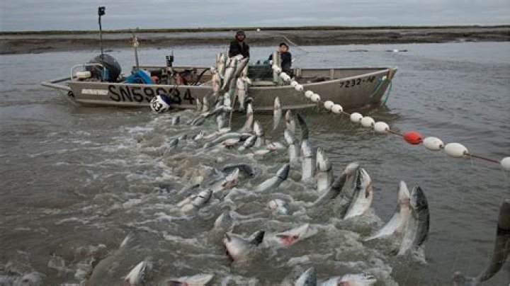 Can you catch fish at night