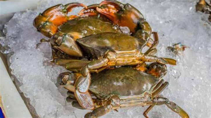 Can you crab all year round